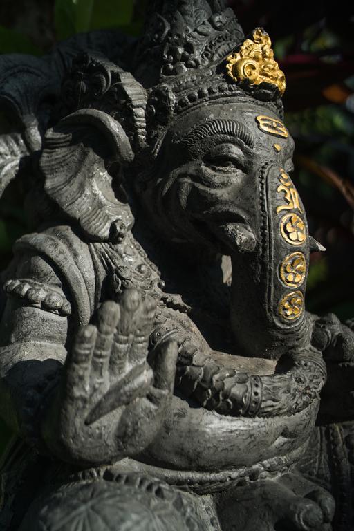 Villa Daksina Ubud Chambre photo
